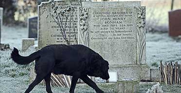 Bonzo Dead Grave